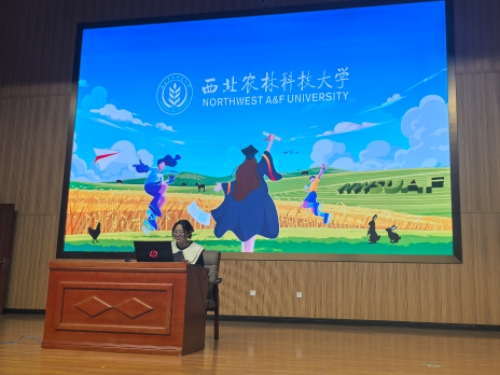 图1.jpg