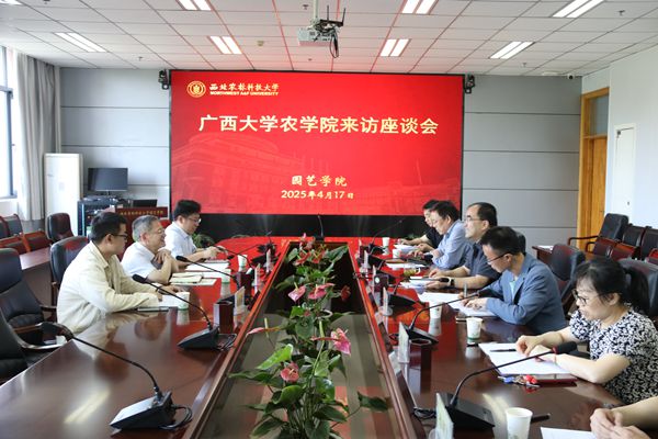 会议现场.jpg