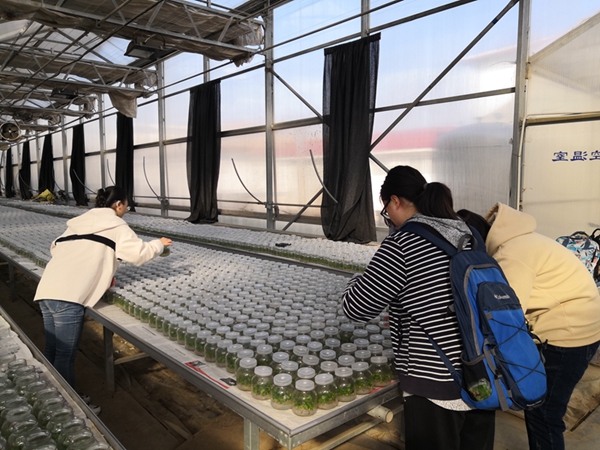 参观培养基1.jpg